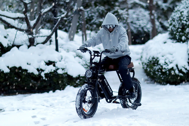 What is the best EBike battery