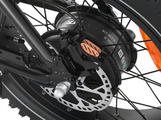 Leon Dual Motor Ebike