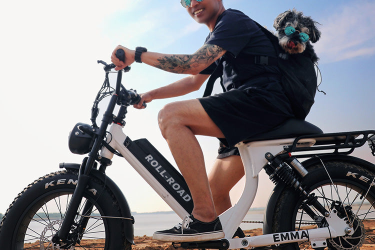 Why should you get an e-bike instead of a car?