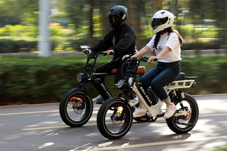 Dual Passenger E-Bikes by Roll Road Ebike for Unforgettable Adventures