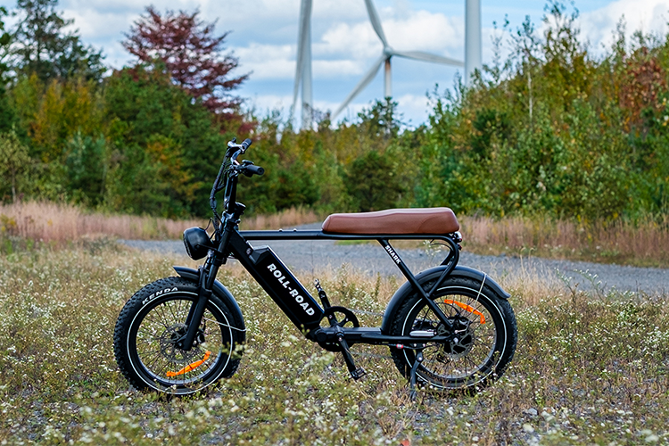 Unveiling the Best 1000W Electric Bike: Roll Road Shark – Roll Road Ebike