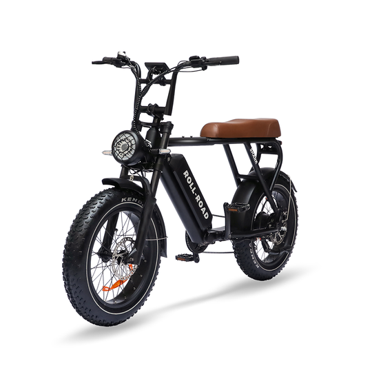 Moped Ebike Shark For 450 lbs 2