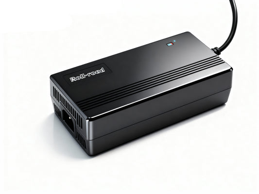 Ebike Battery Charger