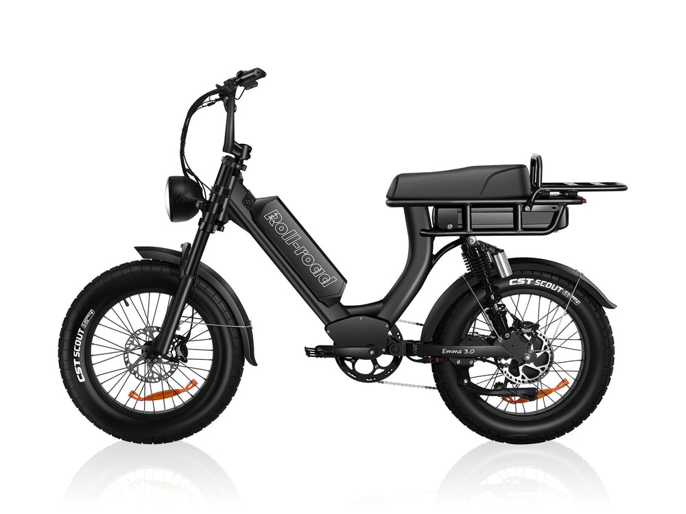 EMMA 3.0  2-seater Ebike 2