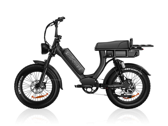 EMMA 3.0 Dual Battery long range Ebike 2