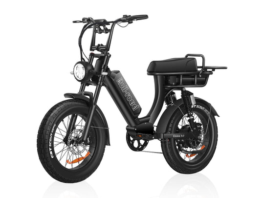 EMMA 3.0 Fat Tire Full Suspension Ebike