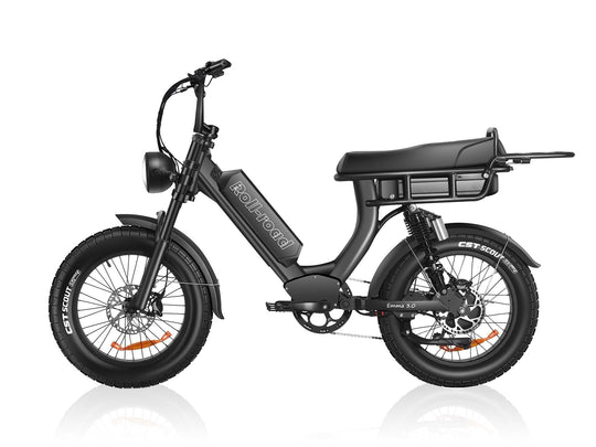 EMMA 3.0 Electric Bike For 400LB Heavy Rider