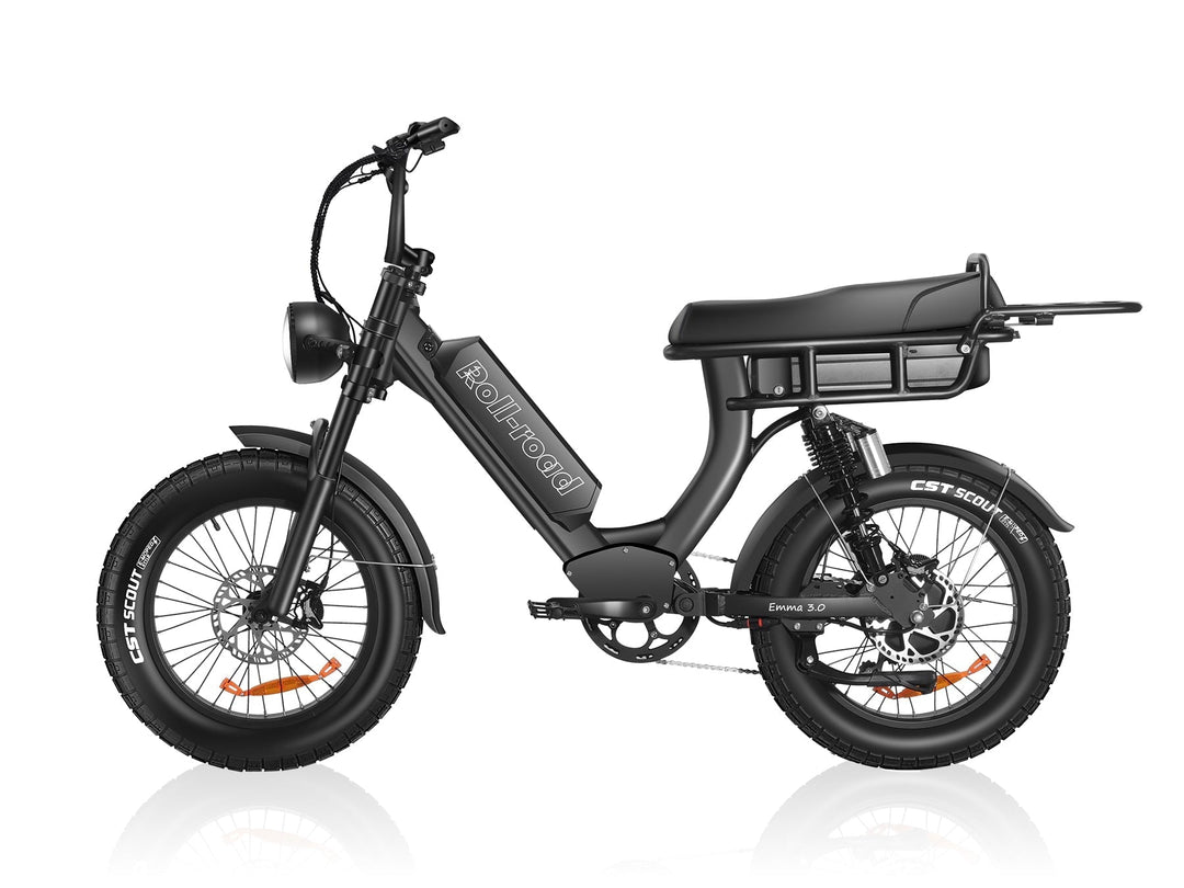 EMMA 3.0  2-seater Ebike 6