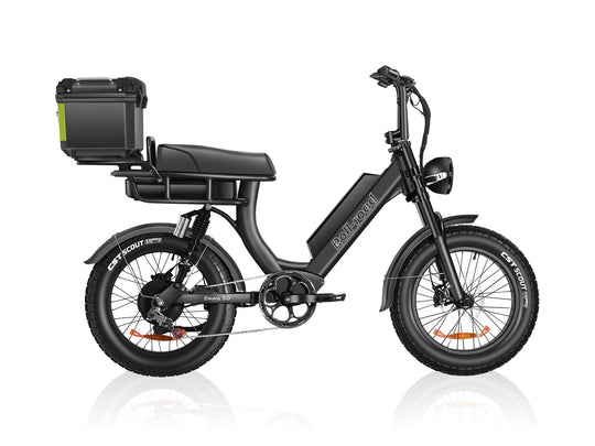 EMMA 3.0 Step-Through Ebike For Seniors