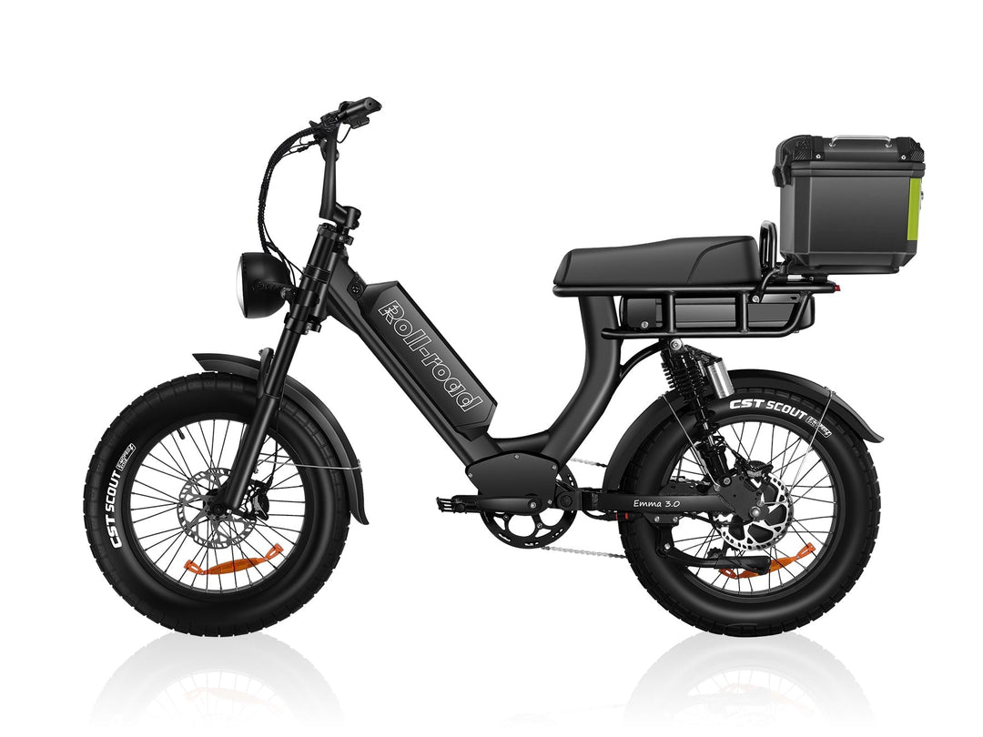 EMMA 3.0 Ebike With Comfortable Seat