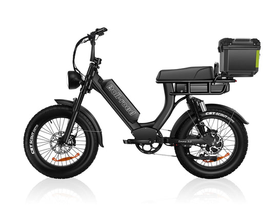 EMMA 3.0 Step-Through Ebike For Seniors