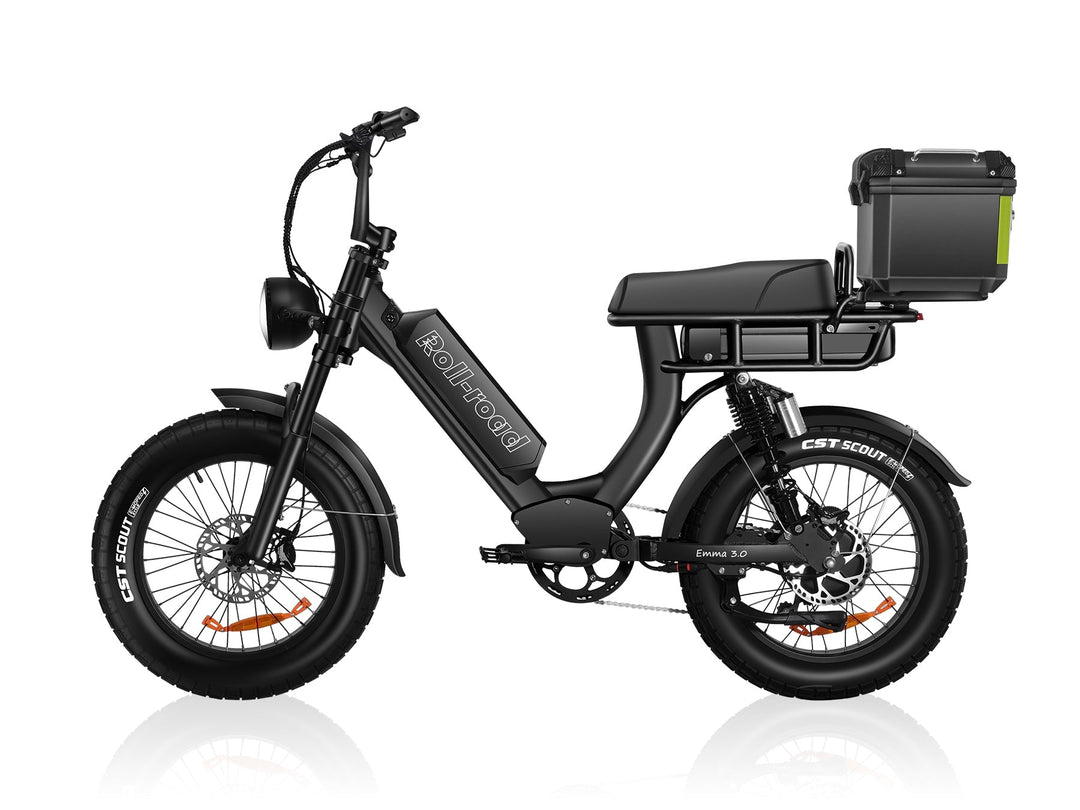 EMMA 3.0 Dual Battery long range Ebike 8