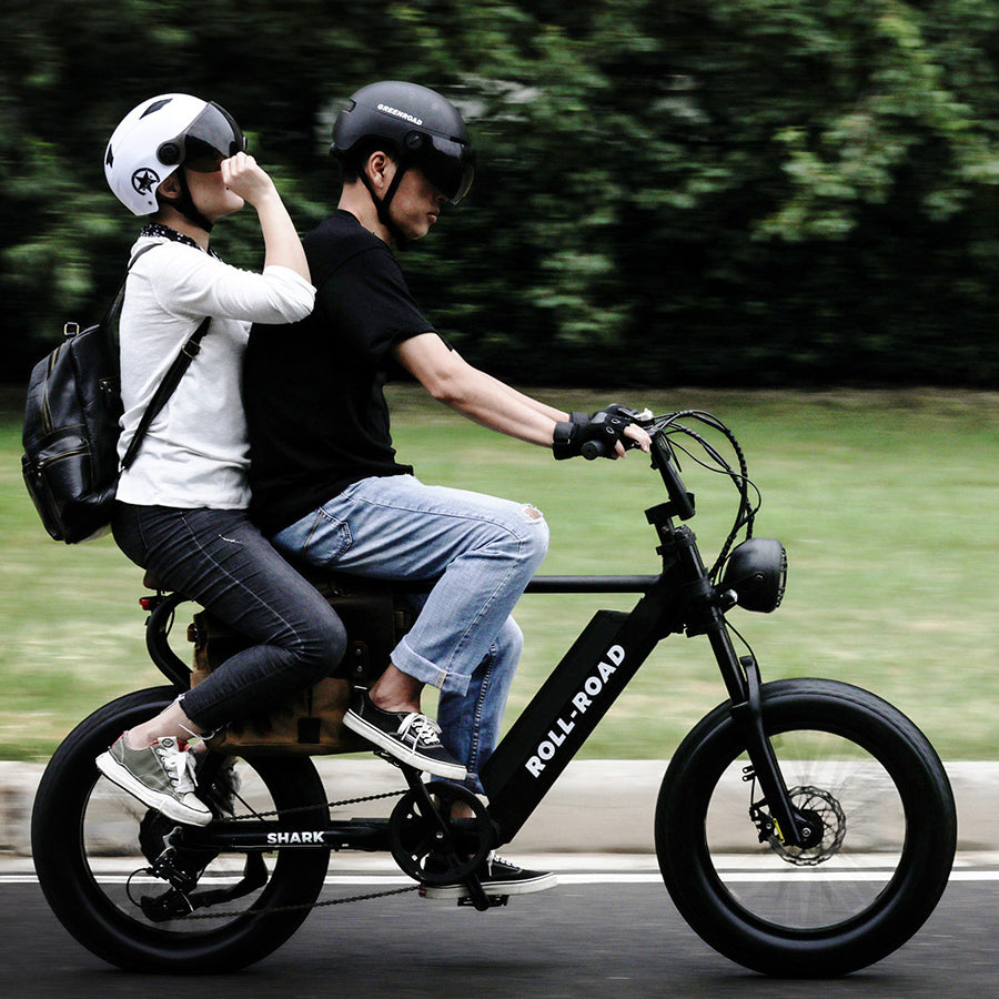 2Seater Ebikes for 2 Adults 450LB Payload Roll Road Ebike
