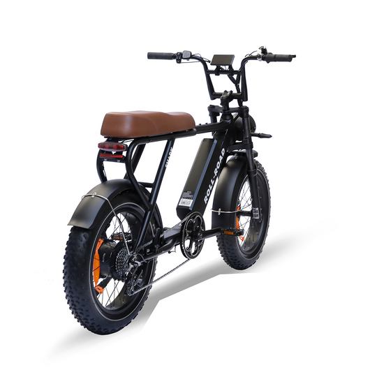 Roll Road Shark Moped Style Ebike 5