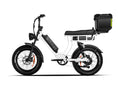 Load image into Gallery viewer, Emma 3.0 Electric Bike
